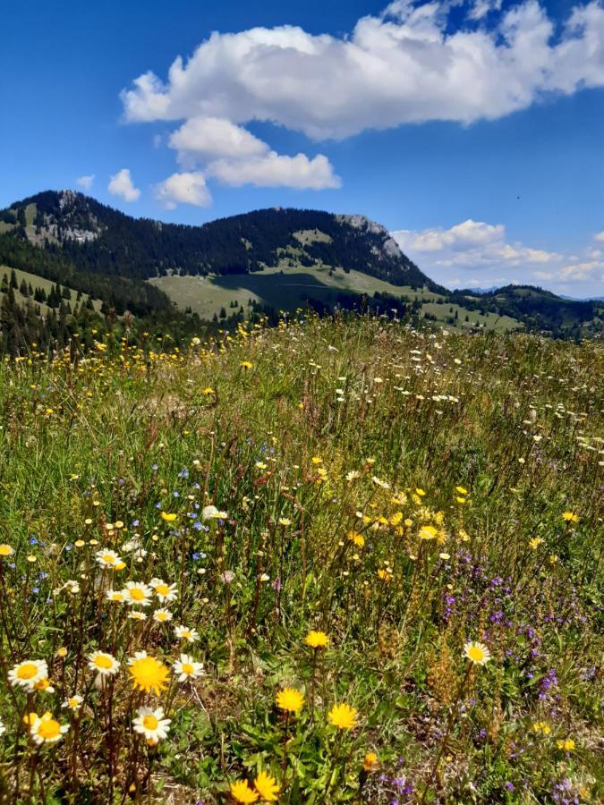 Fewo Niederndorferberg Экстерьер фото