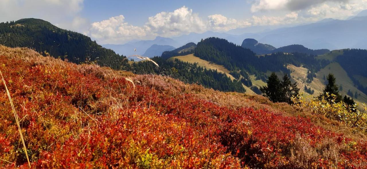 Fewo Niederndorferberg Экстерьер фото